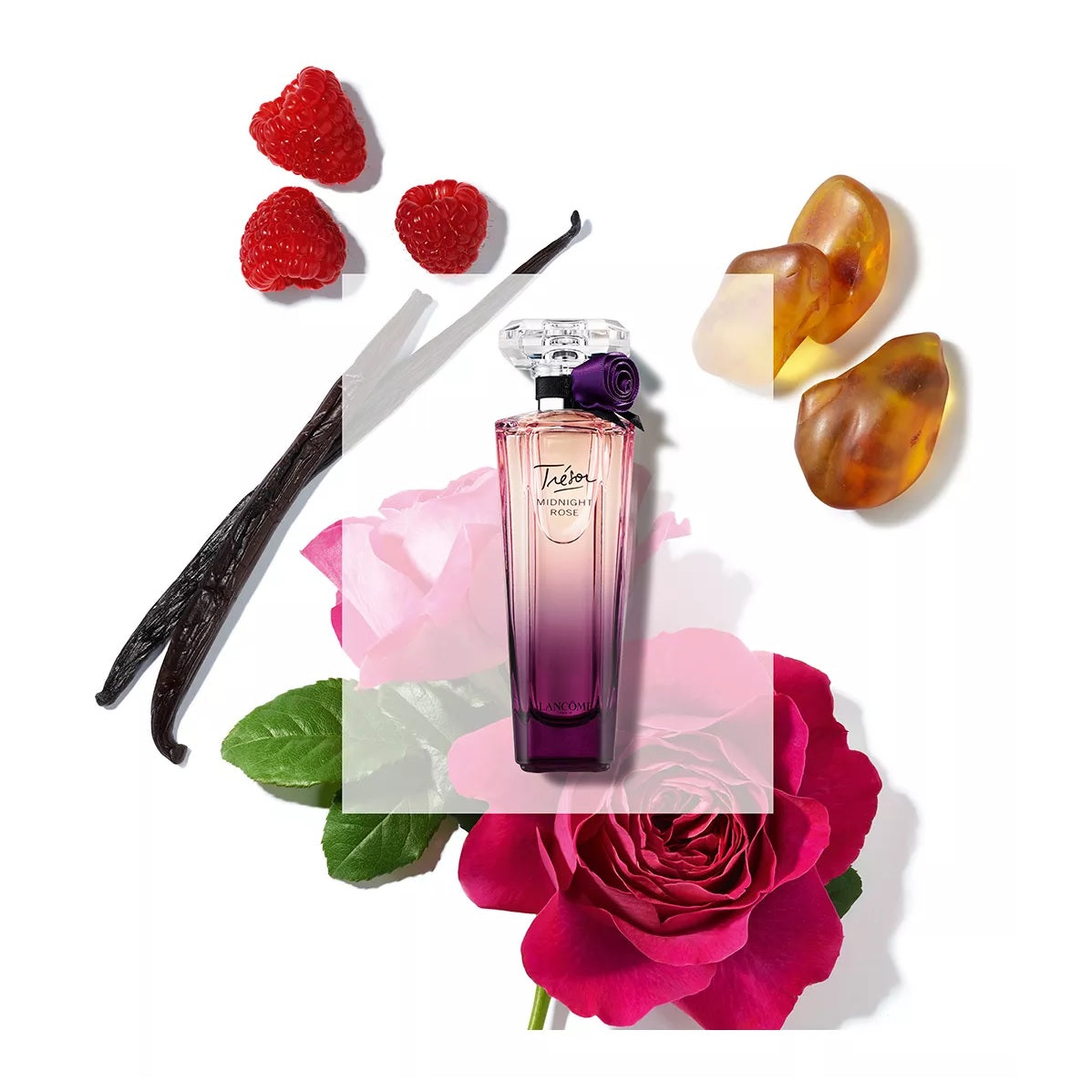 Perfume Lancome Tresor Midnight Rose Edp 100 ml Mujer